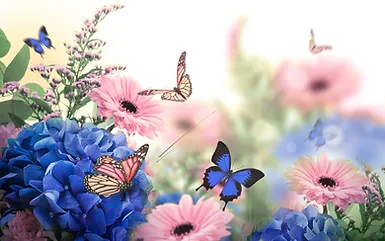 Amazing background with hydrangeas and daisies. Yellow and blue flowers on a white blank.